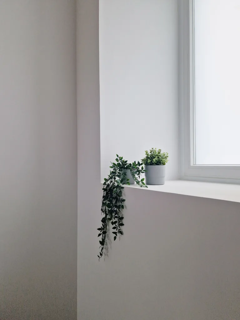 Rehabilitación integral Casa en Muruzabal.